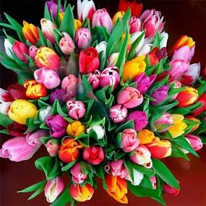 Meet your Posher, Lyubov